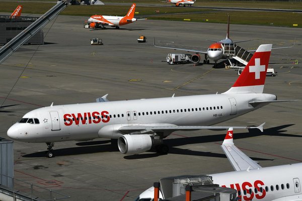 Comment choisir une croisière pour observer les baleines à bosse en Hawaï?